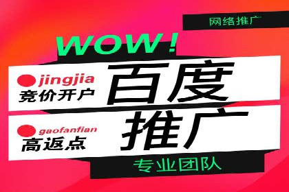 SEM竞价代运营公司案例创新解析